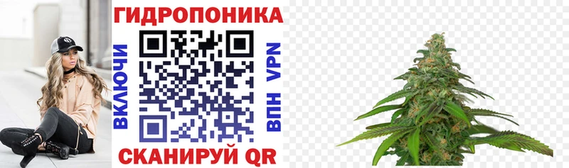 Купить где  Меленки  Каннабис план 